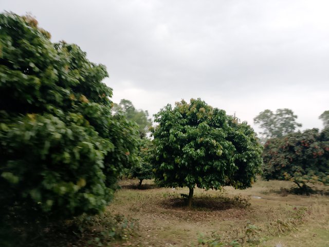 1000038090.jpg