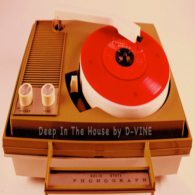 Deep_In_The_House_by_D-VINE_1700x1700.jpg