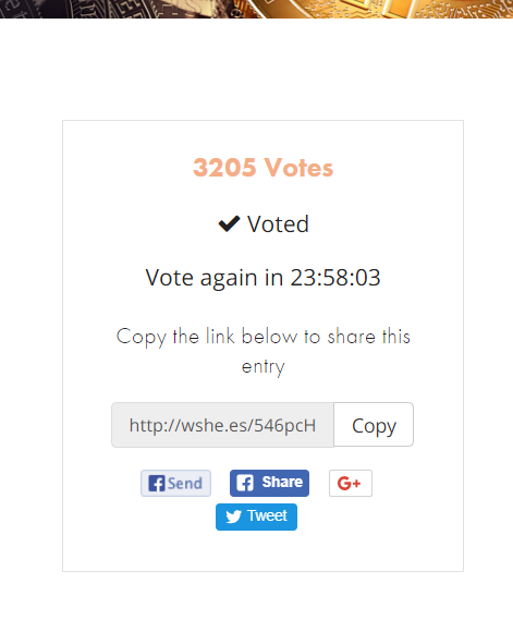netcoins vote.PNG