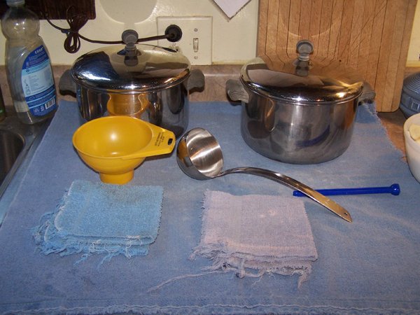 Garlic pickles - set-up crop July 2018.jpg