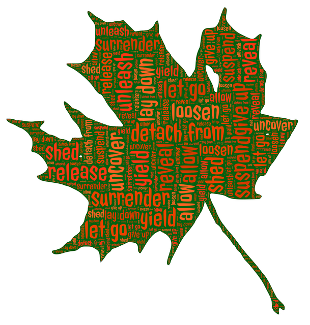 leaf-681828_640.png