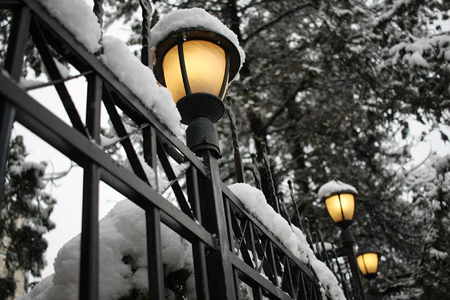 Winter_Vibes_n07_s.jpg