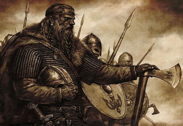 Viking ære.jpg