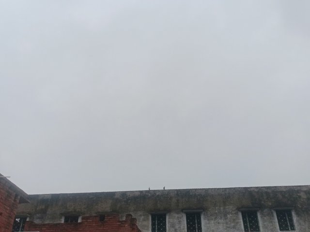IMG20250803102034.jpg
