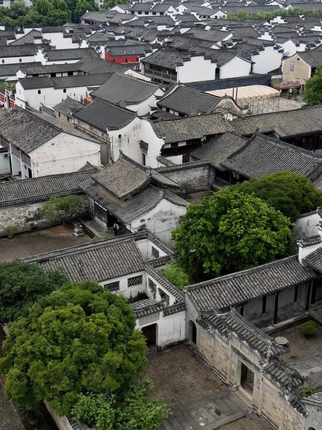 微信图片_2025-09-23_110354_390.jpg