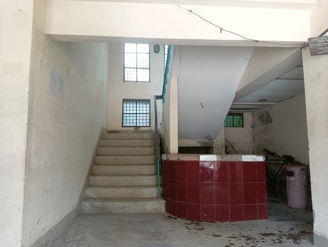 IMG20250729105606.jpg