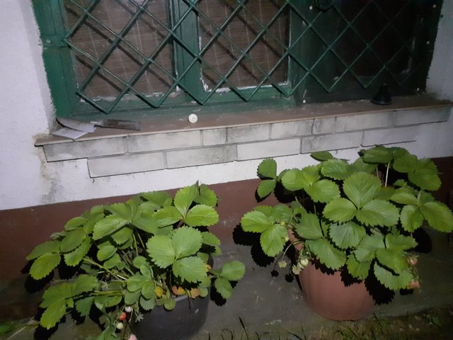 20250525_210744.jpg