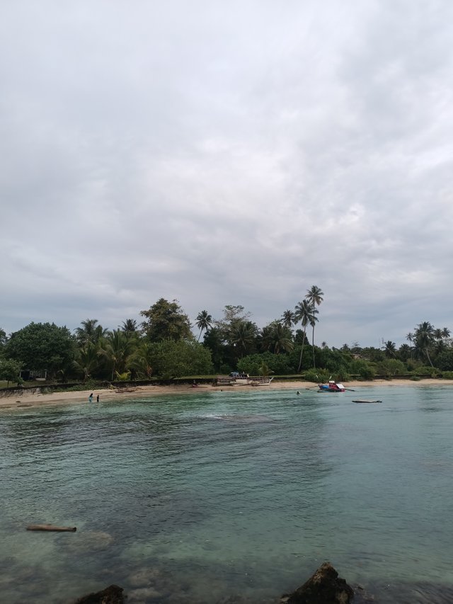 IMG20250128171023.jpg