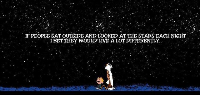 Calvin and Hobbes stars.jpg