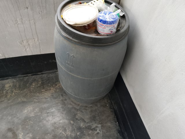 1000045956.jpg