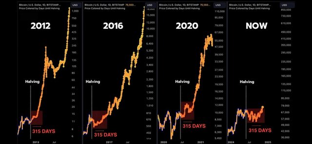 BTC Parabolic 315 Days.jpg