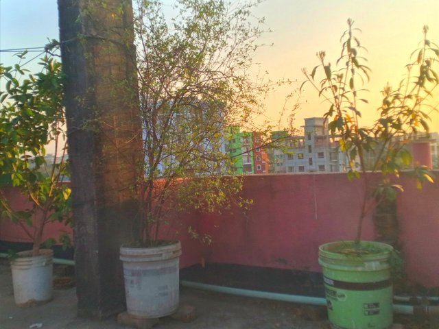 20250303_172446.jpg