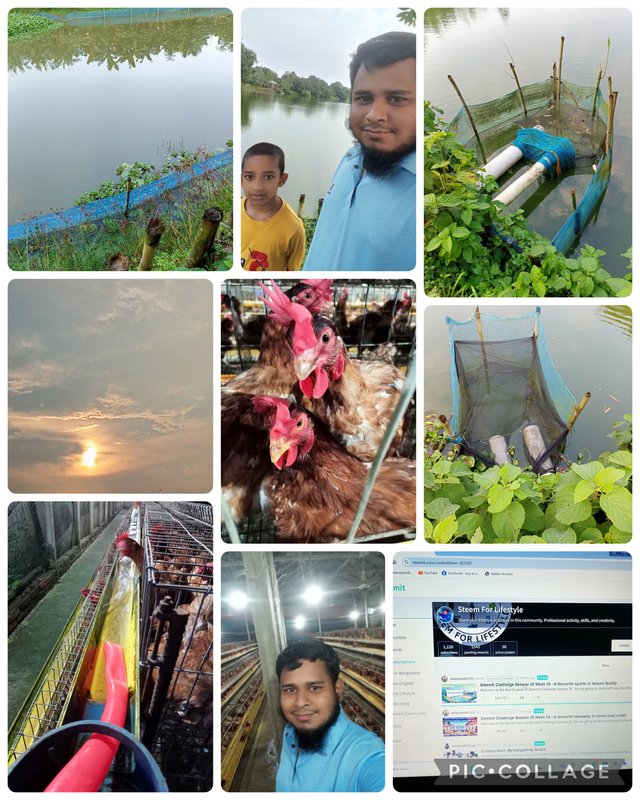 Collage_2025-09-08_06_50_10.jpg