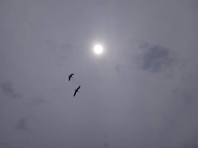 IMG-20250318-WA0053.jpg
