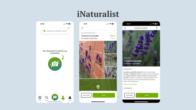 iNaturalist.png