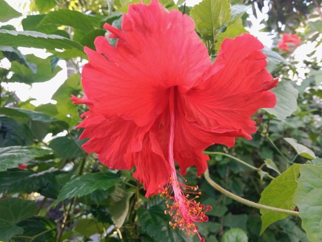 IMG_20250625_193606.jpg