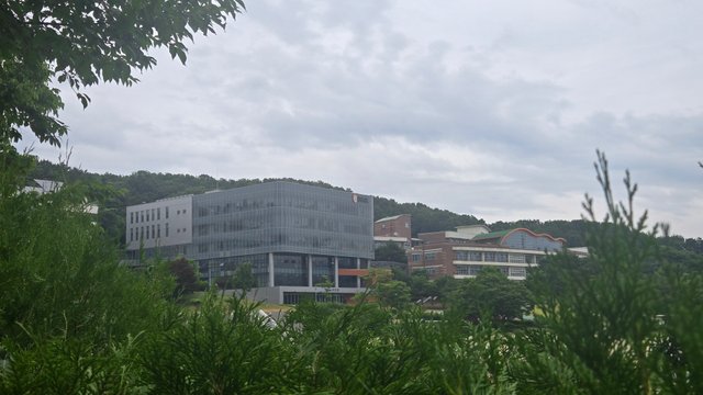 1000020092.jpg