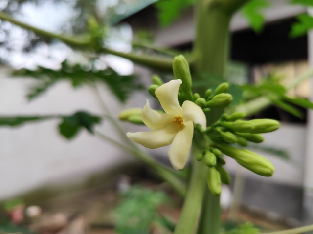 IMG_20250623_171604.jpg