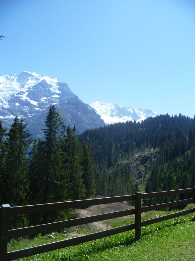 Switzerland - Murren (39).JPG