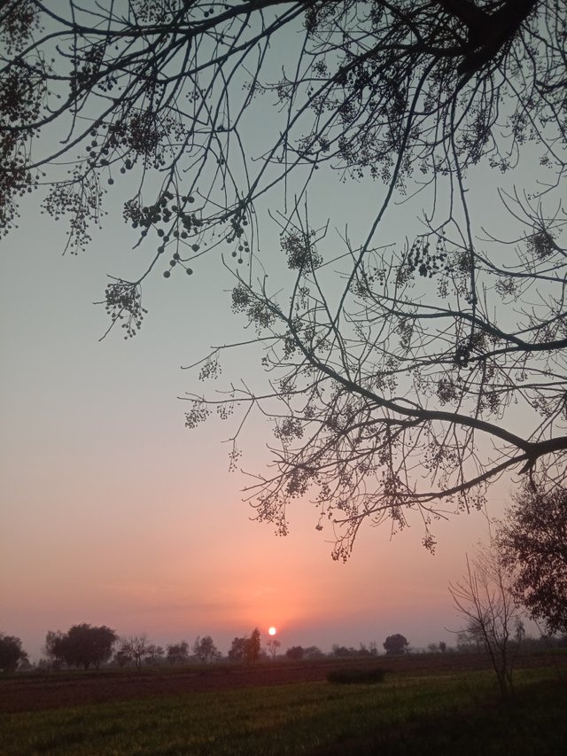 IMG_20220213_174459.jpg