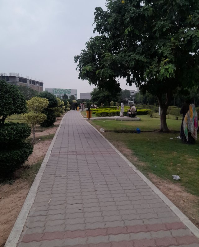 20250817_181527.jpg