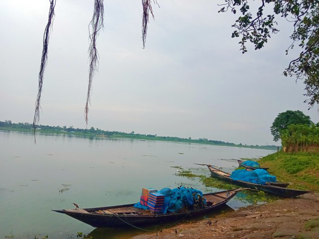 IMG_20250925_073958.jpg