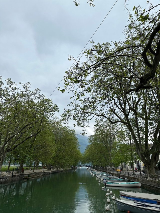 Annecy18.jpg