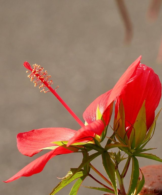 IMG_20250816_123346.jpg