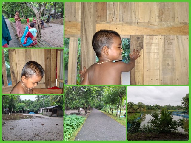 PhotoCollage_1752163837251.jpg