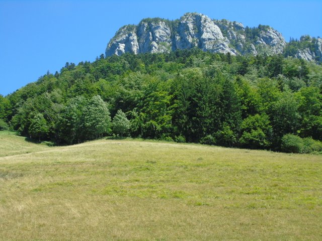 1photofeedlandscape71a (1).JPG