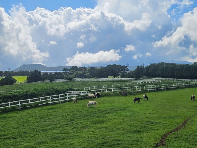 20250912_142108.jpg