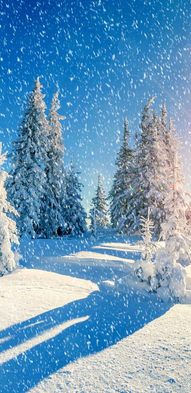 154243-1440x2960-mobile-hd-snowfall-background-photo.jpg