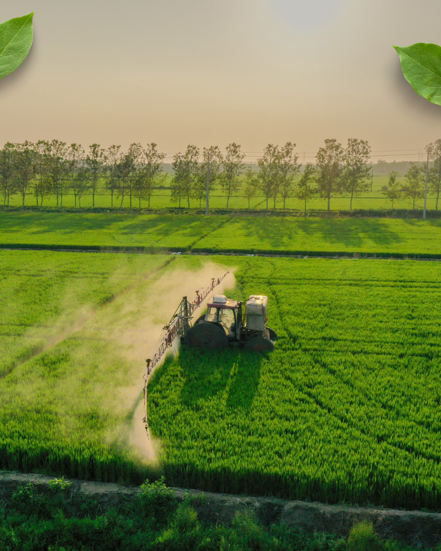 Green and White Modern Agriculture Instagram Post.png