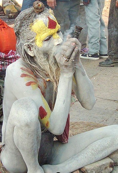 410px-Shiva_Ratri.jpg