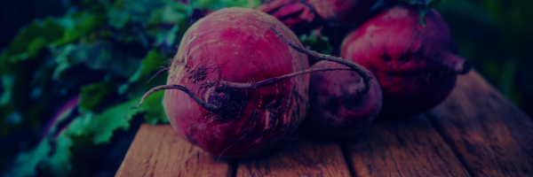 Beetroot Email Header in Yellow Red and Green Photocentric Style_20240525_134103_0000.png