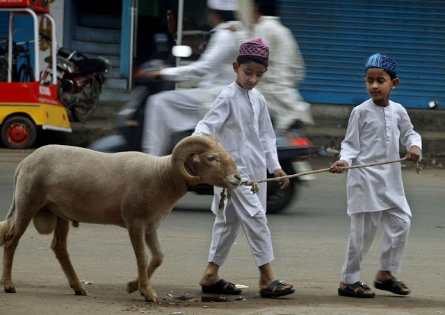 Kata-Ucapan-Idul-Adha-1434-H-SMS-Selamat-Hari-Raya-Kurban-2013.jpg