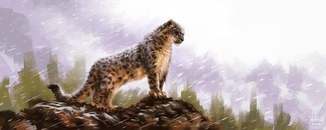 Snow-Leopard-Rocks-23-small.jpg