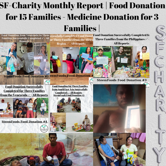 SF-Charity Monthly Report .png