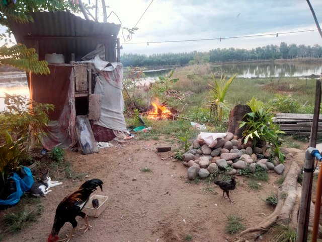 IMG20250618183240.jpg