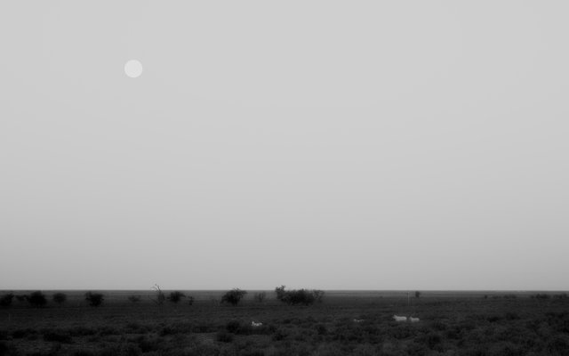 20250512_173617.jpg