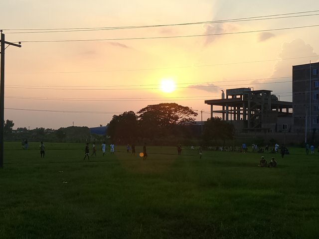 1000020787.jpg