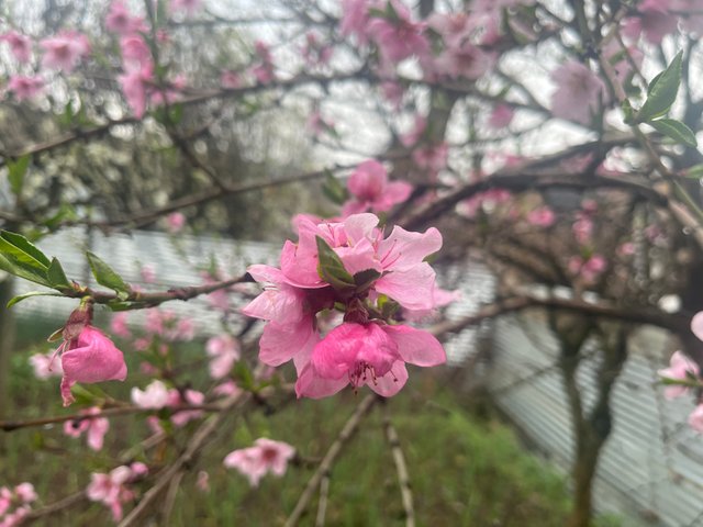 IMG_3173.jpeg