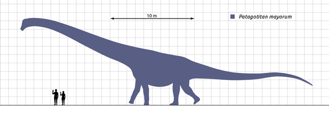 2000px-Patagotitan-Scale-Diagram-Steveoc86.svg.png