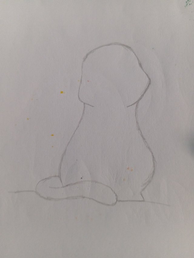 1000104761.jpg