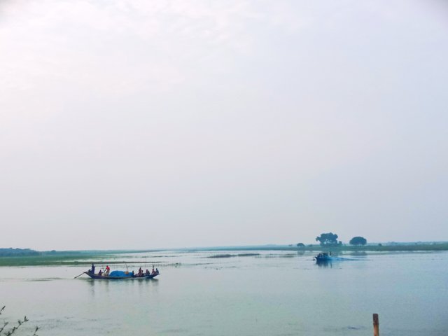 IMG_20241015_184605.jpg