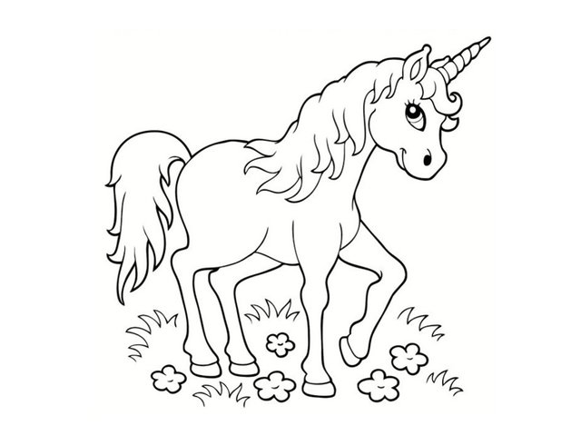 licorne-16.jpg