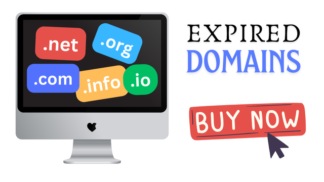 The Ultimate Guide to Buying Expired Domains Tips and Tricks.png