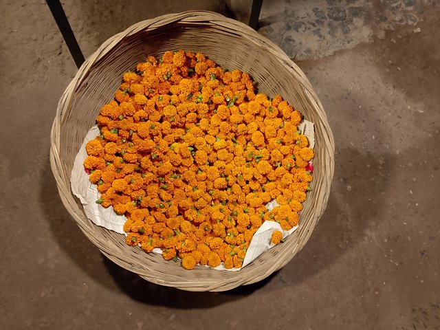 1000035539.jpg