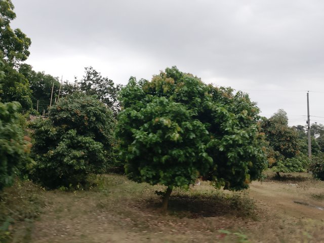 1000038089.jpg