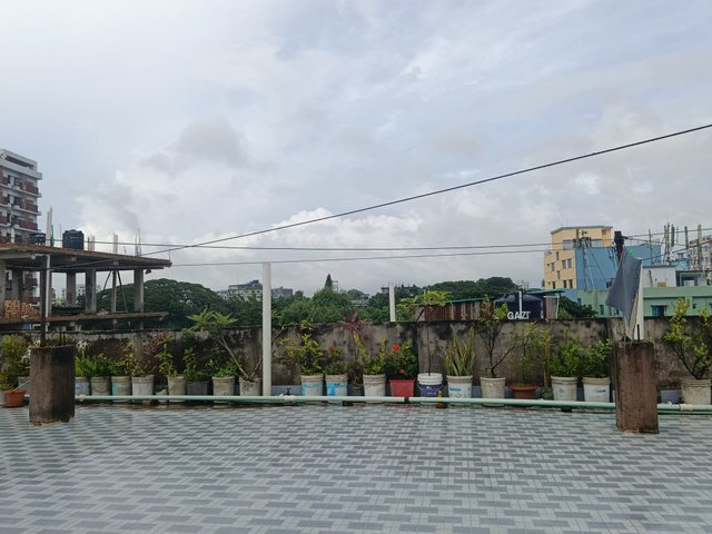 IMG_20250701_162937.jpg